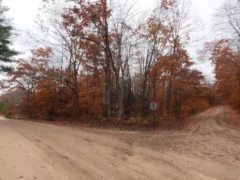 E 9 Mile Rd Road, Tustin, MI 49688