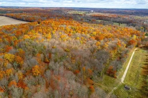 Augusta Drive, Augusta, MI 49012 photo 8
