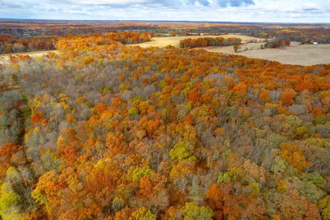 Augusta Drive, Augusta, MI 49012 photo 6