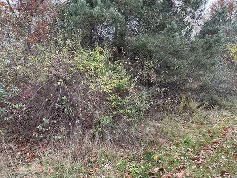 Hiltop Drive, Hamilton, MI 49419