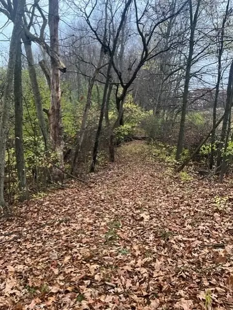 Manning Lake Road, Richland, MI 49083
