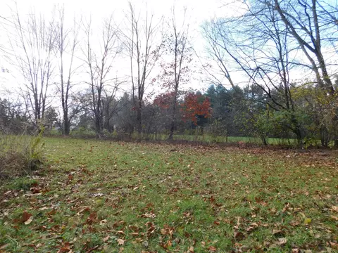 14213 E O N Ave, Climax, MI 49034 photo 40