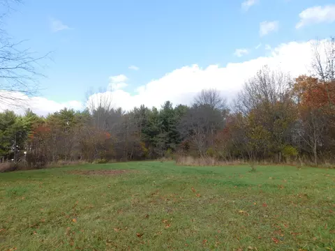14213 E O N Ave, Climax, MI 49034 photo 39