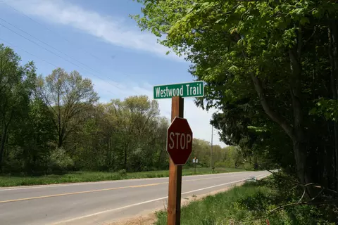 westwood trail, Hamilton, MI 49419
