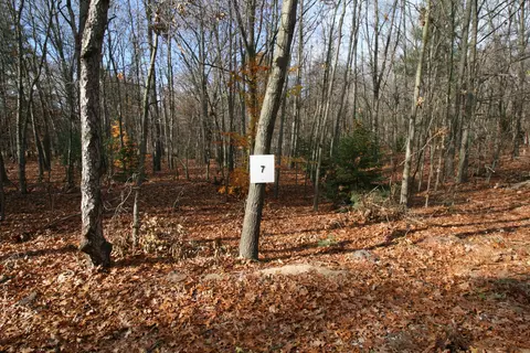 westwood trail, Hamilton, MI 49419