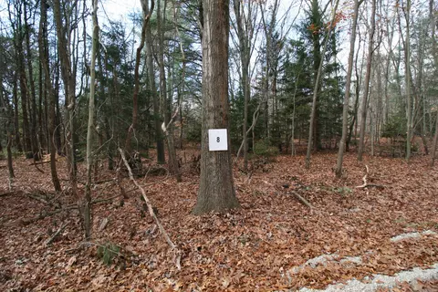 westwood trail, Hamilton, MI 49419