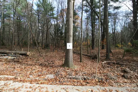 westwood trail, Hamilton, MI 49419