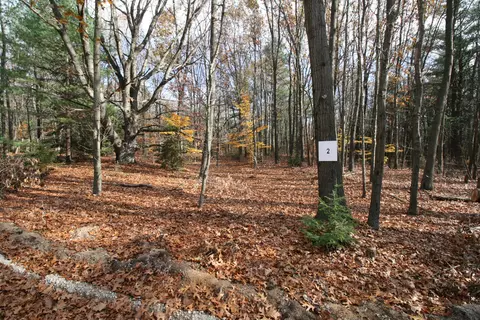 westwood trail, Hamilton, MI 49419