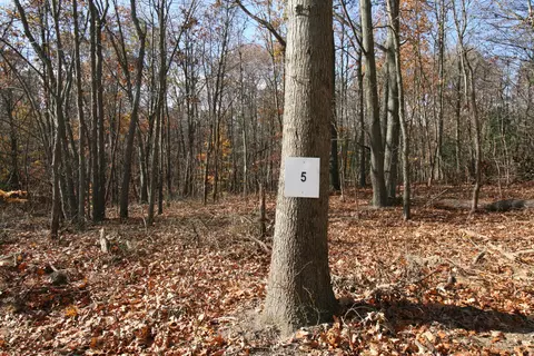 westwood trail, Hamilton, MI 49419