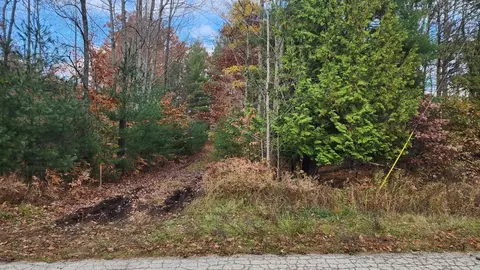 Vl E Millerton Road, Branch, MI 49402