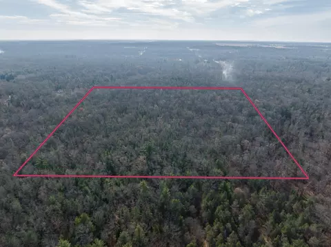 V/l Dewey Road, Howard City, MI 49329