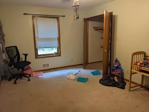 193 E Cannonsville Rd, Stanton, MI 48888 photo 20