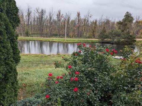 193 E Cannonsville Rd, Stanton, MI 48888 photo 34