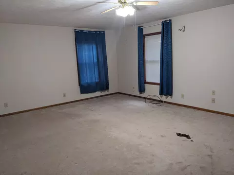 193 E Cannonsville Rd, Stanton, MI 48888 photo 10