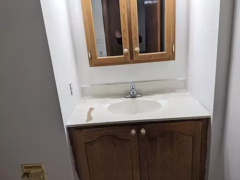 193 E Cannonsville Rd, Stanton, MI 48888 photo 14