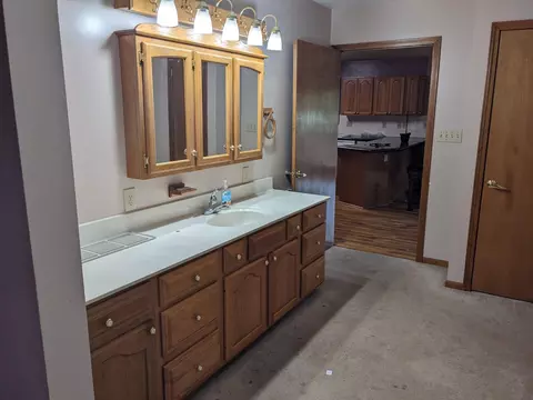 193 E Cannonsville Rd, Stanton, MI 48888 photo 17