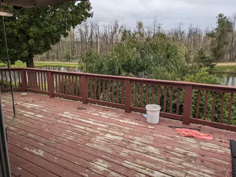 193 E Cannonsville Rd, Stanton, MI 48888 photo 32