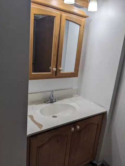 193 E Cannonsville Rd, Stanton, MI 48888 photo 15