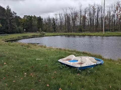 193 E Cannonsville Rd, Stanton, MI 48888 photo 37
