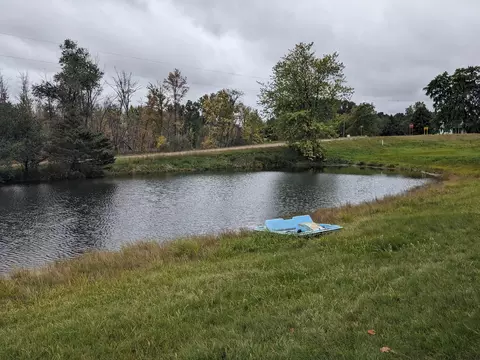 193 E Cannonsville Rd, Stanton, MI 48888 photo 38