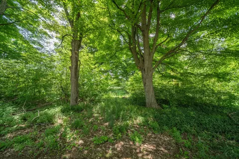 6708 E Ave, Richland, MI 49083 photo 8