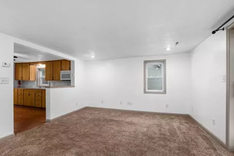 317 S 3rd Ave, Big Rapids, MI 49307 photo 8