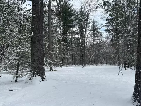 5801 S Crossover Trl, Baldwin, MI 49304 photo 5