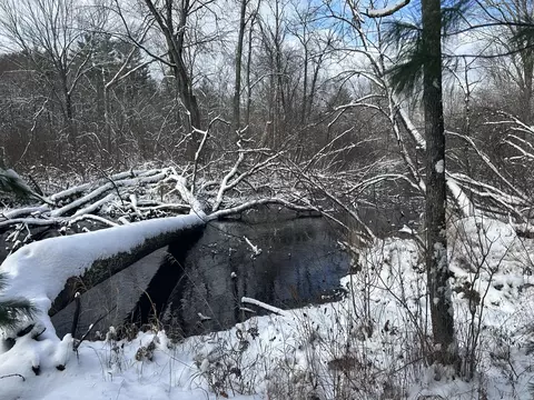 5801 S Crossover Trl, Baldwin, MI 49304