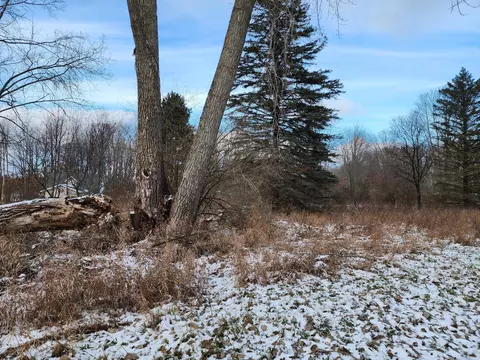 11404 Oak Ridge Dr, Stanwood, MI 49346