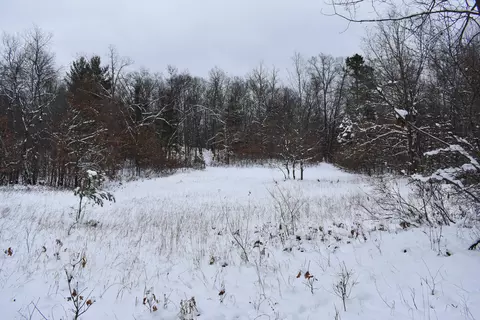 0 Clements Rd, Brethren, MI 49619