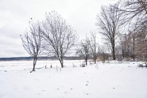 1297 2nd St, Plainwell, MI 49080 photo 38