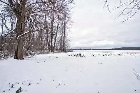 1297 2nd St, Plainwell, MI 49080 photo 39