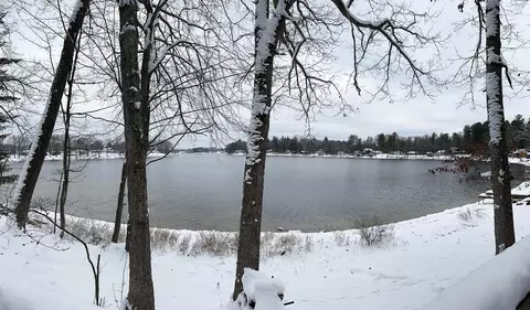 8686 W Red Maple St, Irons, MI 49644 photo 3