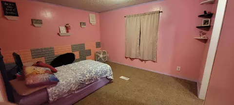 511 Oak St, Baldwin, MI 49304 photo 13