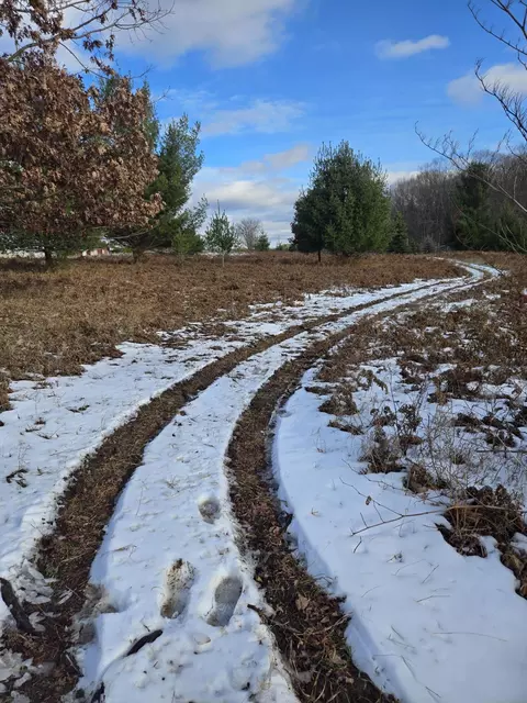 lot895 Lake Miramichi Dr, Evart, MI 49631