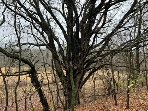 0 Overlook Dr #7, Saline, MI 48176