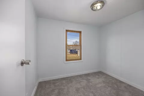1119 Holly Dr, Stanton, MI 48888 photo 21