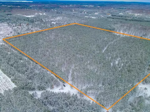 V/l E 28 1/4 Road, Cadillac, MI 49601