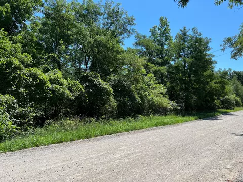 Parcel B W County Line Road, Greenville, MI 48838