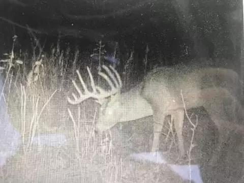 0 Vl Half Moon Lake Rd, Hillsdale, MI 49242