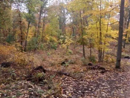 Par A 9 Mile Road, Stanwood, MI 49346