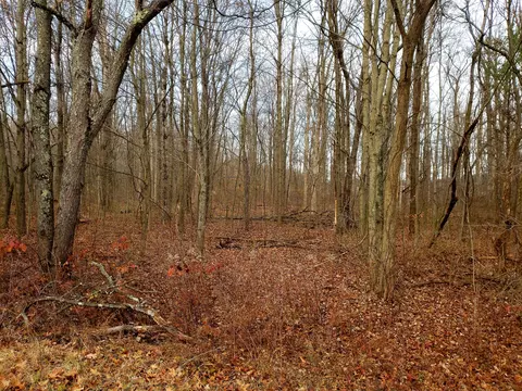 V/l A English Setter Drive, Allegan, MI 49010