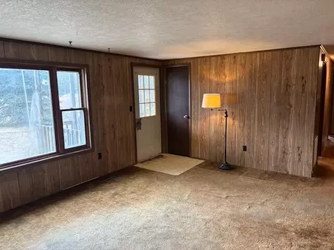 3343 S Walnut Ave, White Cloud, MI 49349 photo 3