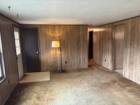3343 S Walnut Ave, White Cloud, MI 49349 photo 4