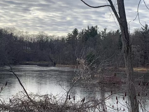 9300 Button Rd, Belding, MI 48809 photo 28