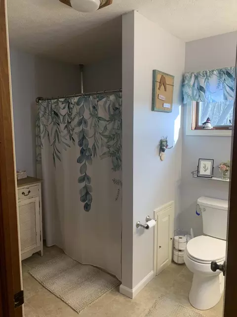 9300 Button Rd, Belding, MI 48809 photo 13
