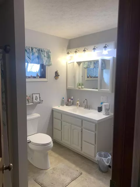 9300 Button Rd, Belding, MI 48809 photo 14