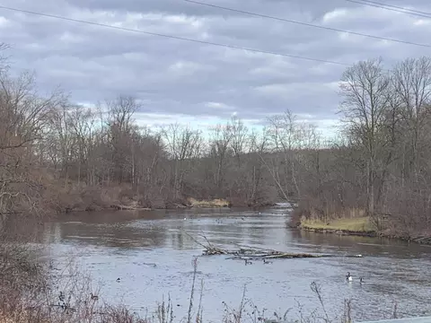 9300 Button Rd, Belding, MI 48809 photo 36