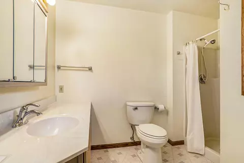 2458 Fox Rdg, Lyons, MI 48851 photo 12