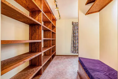 2458 Fox Rdg, Lyons, MI 48851 photo 10